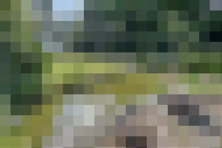 Compagnonsweg 14 Ravenswoud thumbnail 32