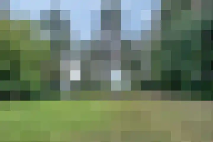 Compagnonsweg 14 Ravenswoud thumbnail 34