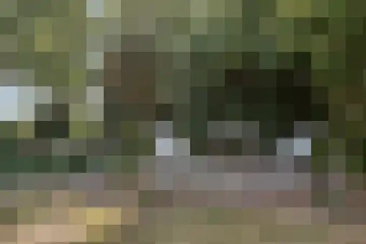 Compagnonsweg 14 Ravenswoud thumbnail 35