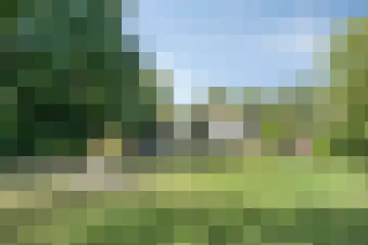 Compagnonsweg 14 Ravenswoud thumbnail 36
