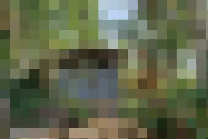 Compagnonsweg 14 Ravenswoud thumbnail 37