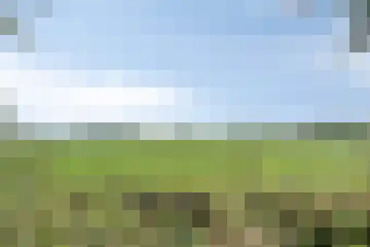 Compagnonsweg 14 Ravenswoud thumbnail 39