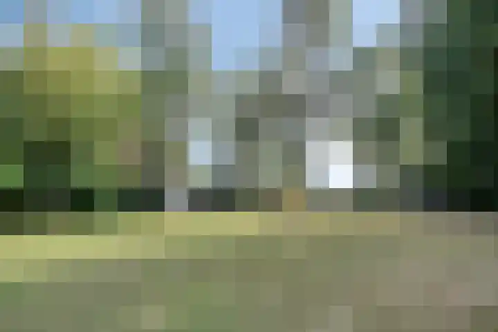 Compagnonsweg 14 Ravenswoud thumbnail 4