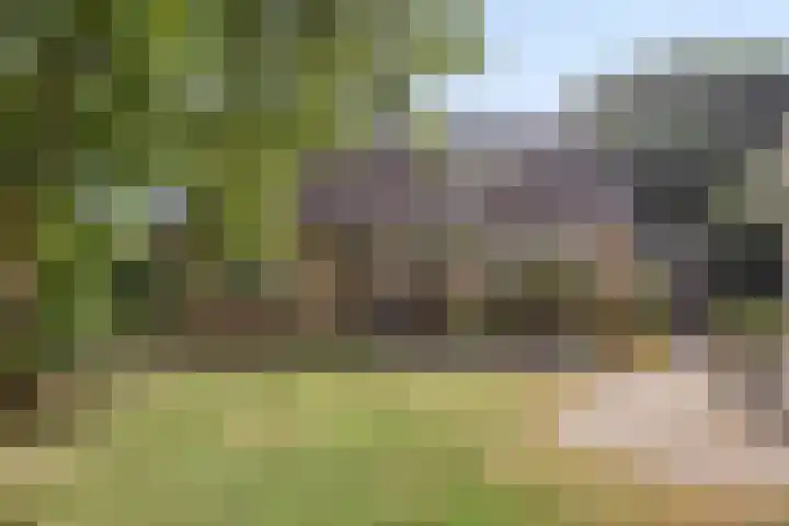 Compagnonsweg 14 Ravenswoud thumbnail 41