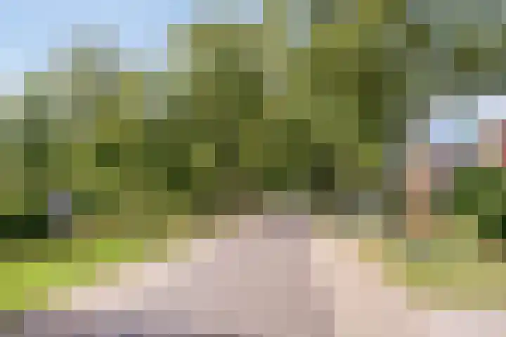 Compagnonsweg 14 Ravenswoud thumbnail 42