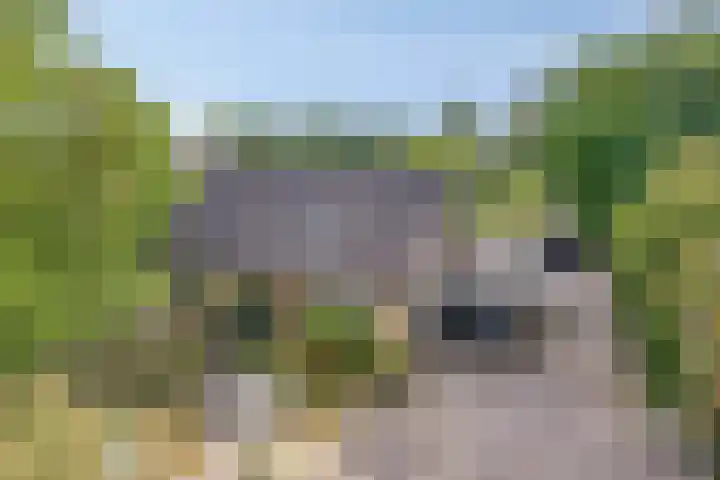 Compagnonsweg 14 Ravenswoud thumbnail 5