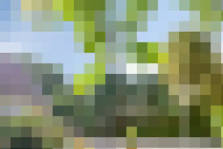 Compagnonsweg 14 Ravenswoud thumbnail 6