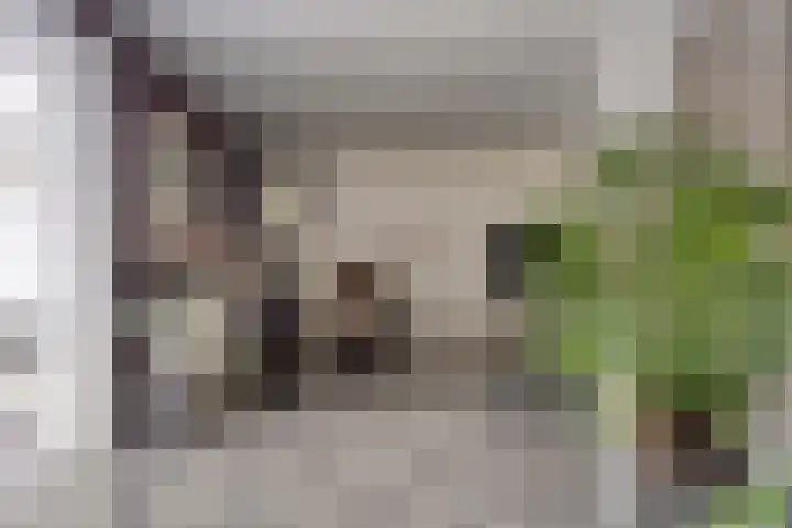 Compagnonsweg 14 Ravenswoud thumbnail 8
