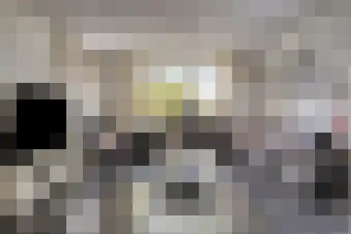 Compagnonsweg 14 Ravenswoud thumbnail 9