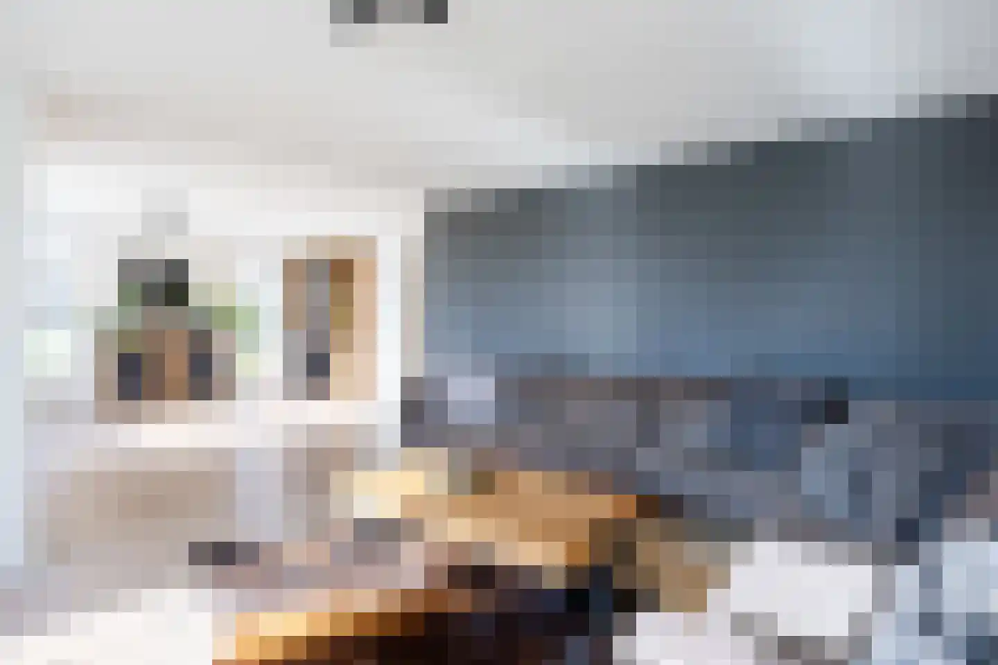 Compagnonsweg 18 Waskemeer thumbnail 23