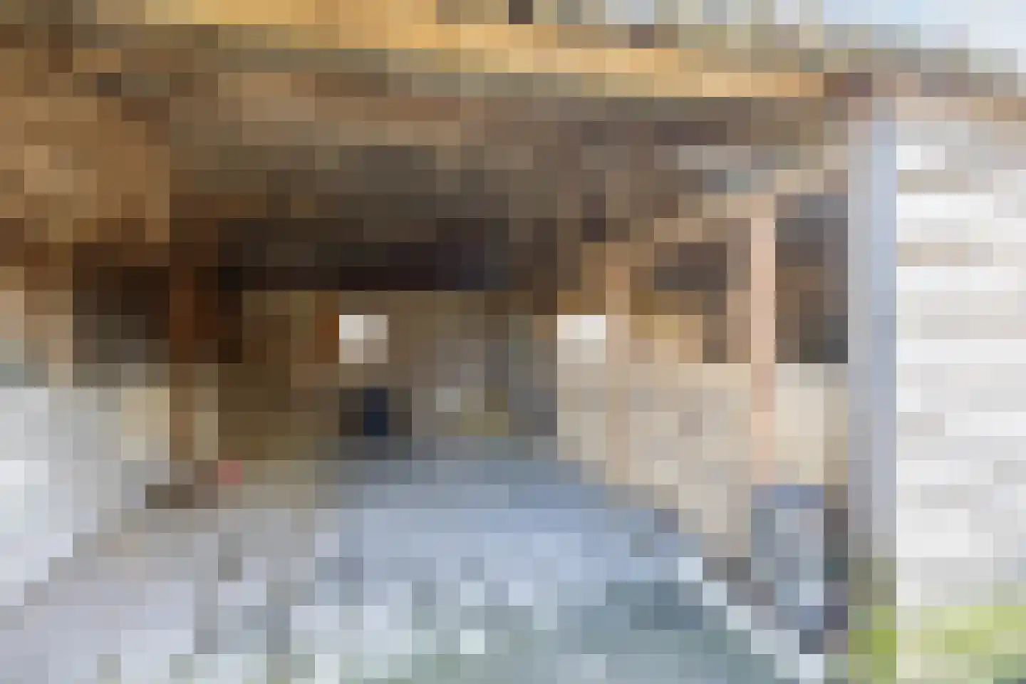 Compagnonsweg 18 Waskemeer thumbnail 47