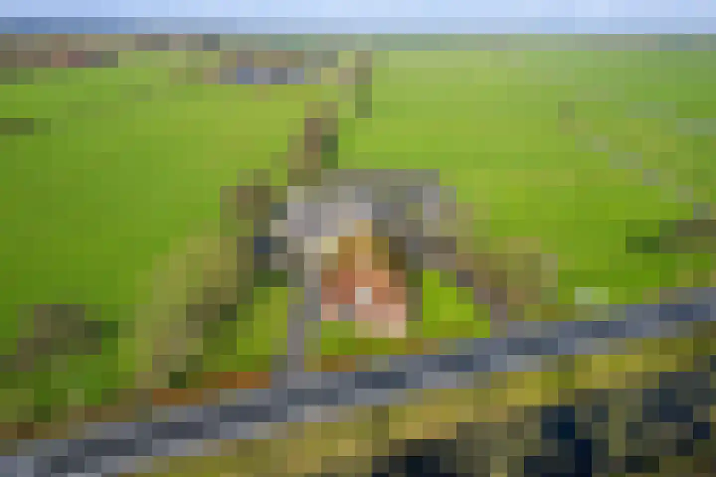 Compagnonsweg 18 Waskemeer thumbnail 60