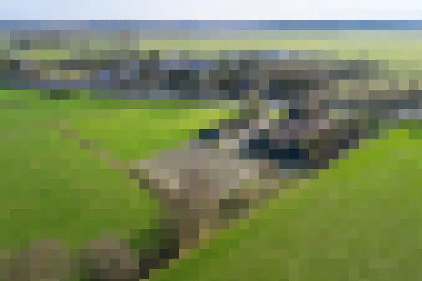 Compagnonsweg 18 Waskemeer thumbnail 61