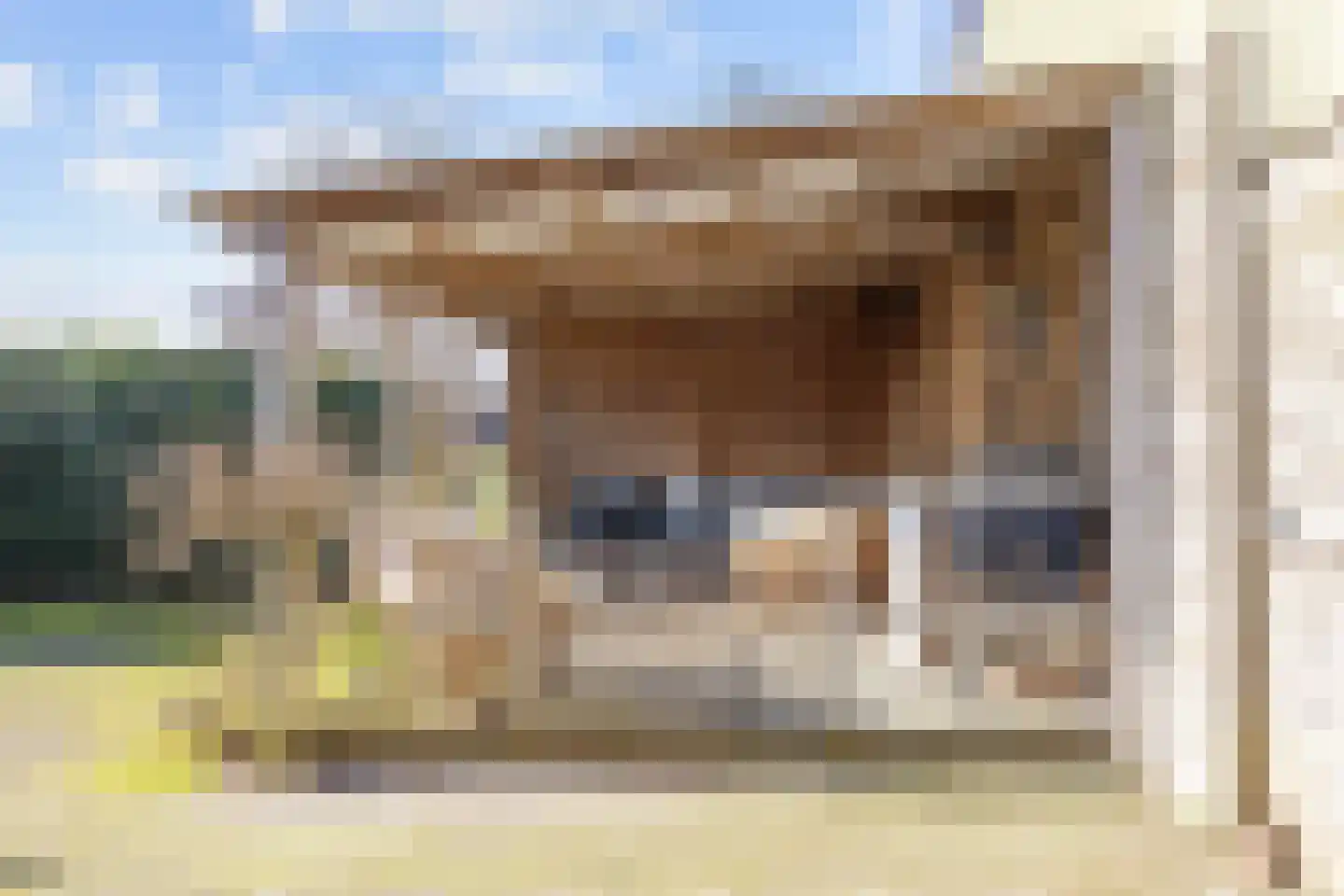 Compagnonsweg 18 Waskemeer thumbnail 8