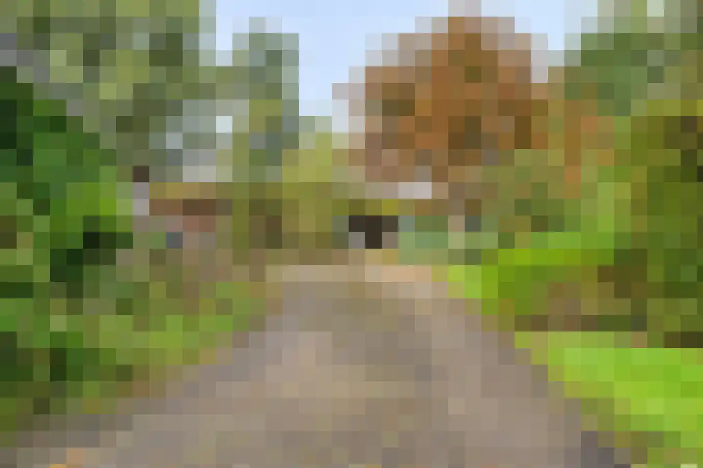 Compagnonsweg 19 Waskemeer thumbnail 40
