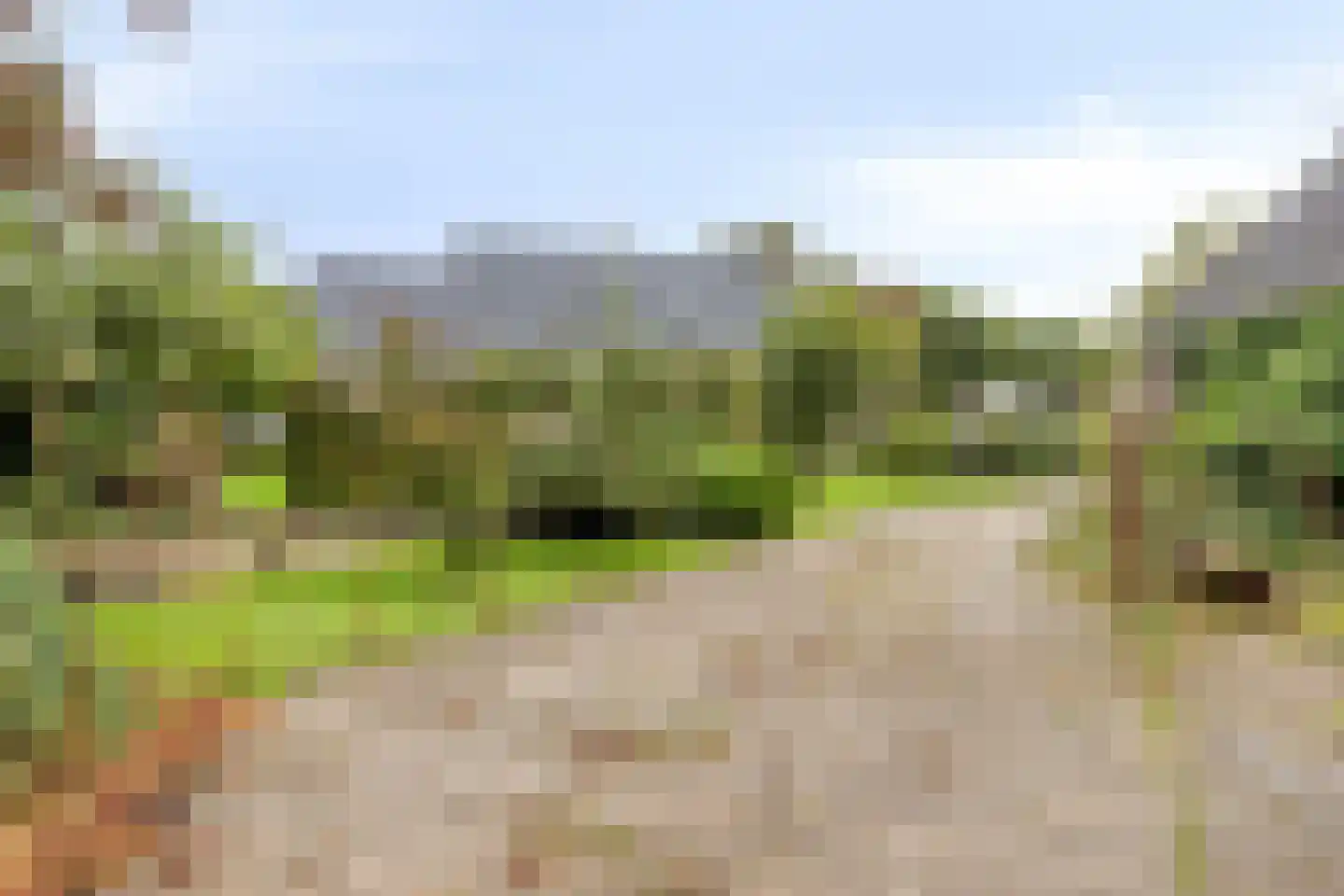 Compagnonsweg 19 Waskemeer thumbnail 42
