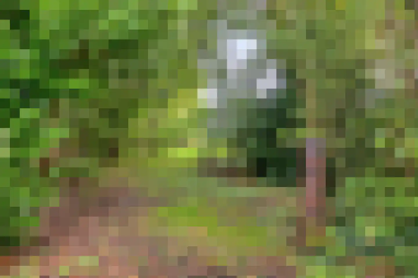 Compagnonsweg 19 Waskemeer thumbnail 43