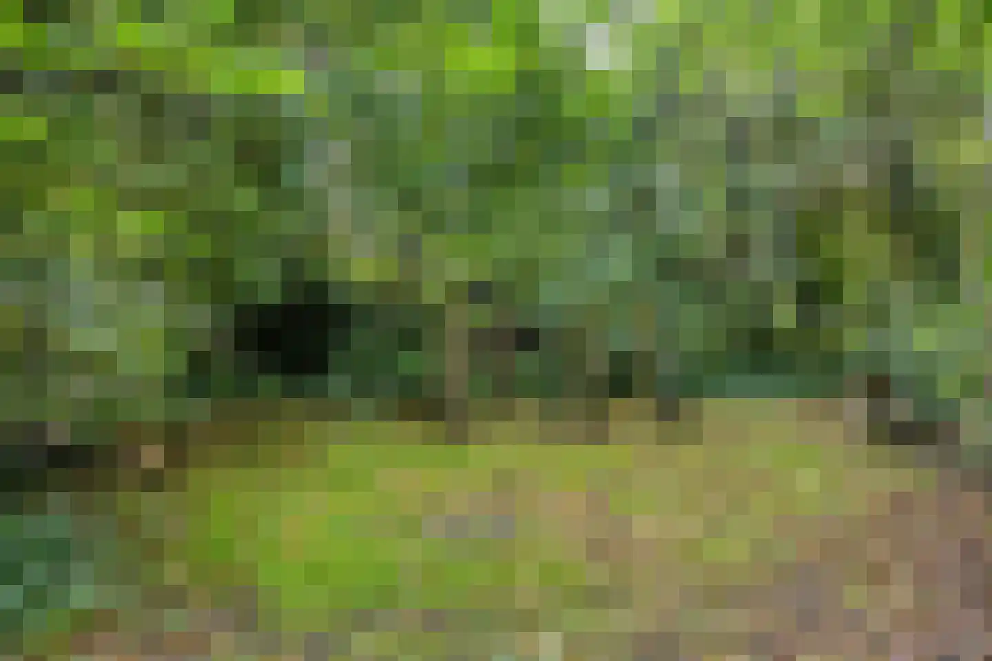 Compagnonsweg 19 Waskemeer thumbnail 45