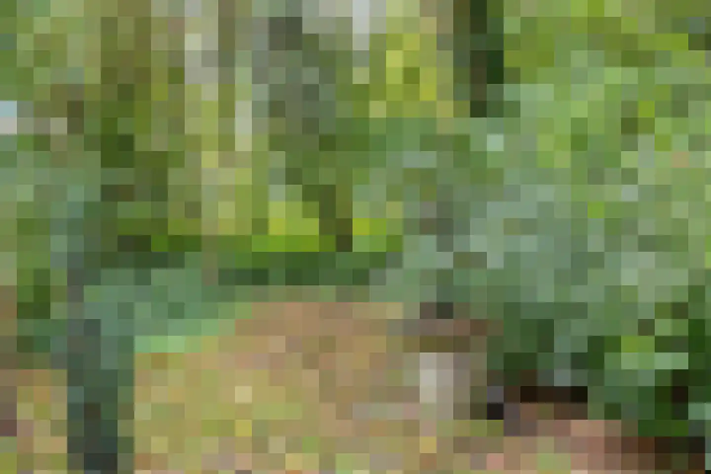 Compagnonsweg 19 Waskemeer thumbnail 46