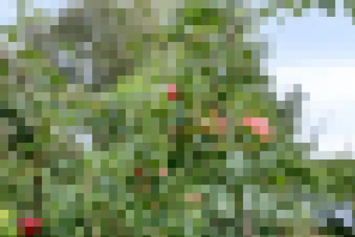 Compagnonsweg 19 Waskemeer thumbnail 47