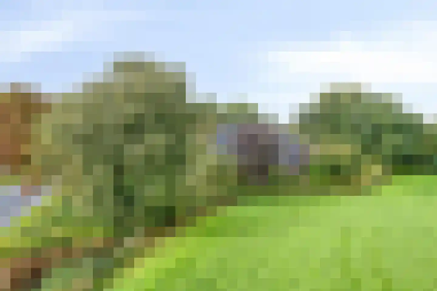 Compagnonsweg 19 Waskemeer thumbnail 50