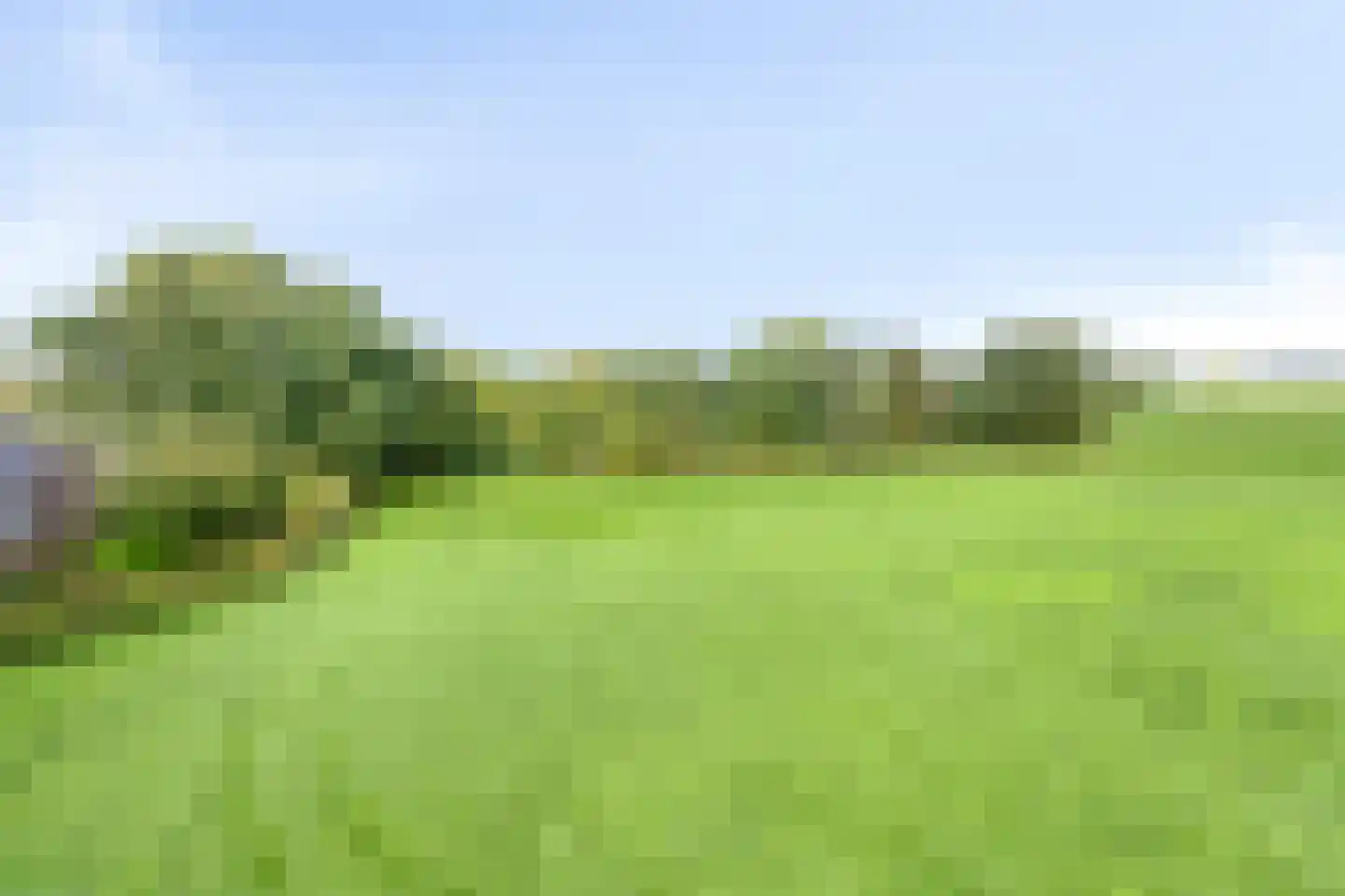 Compagnonsweg 19 Waskemeer thumbnail 51