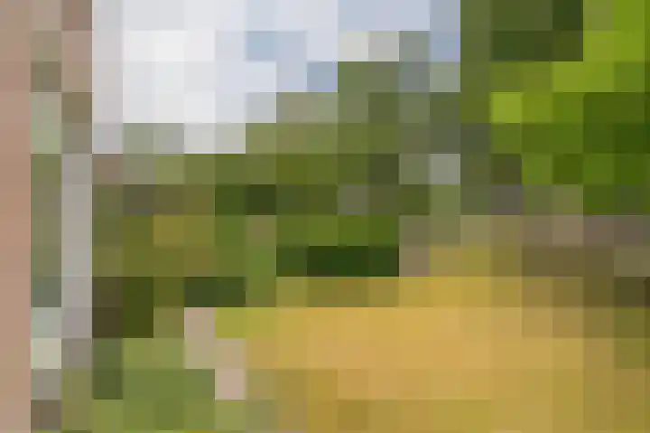 Compagnonsweg 33 Ravenswoud thumbnail 10