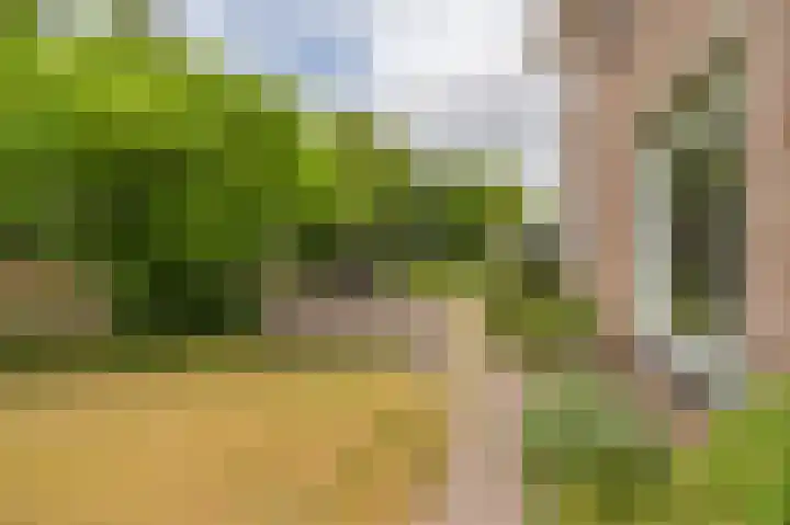 Compagnonsweg 33 Ravenswoud thumbnail 11