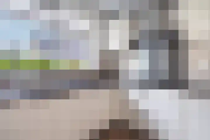 Compagnonsweg 33 Ravenswoud thumbnail 19