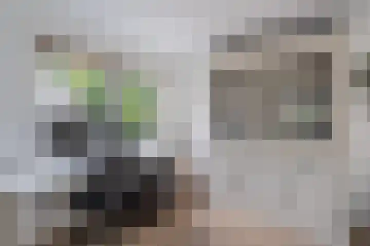 Compagnonsweg 33 Ravenswoud thumbnail 23