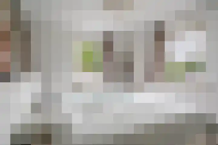 Compagnonsweg 33 Ravenswoud thumbnail 35