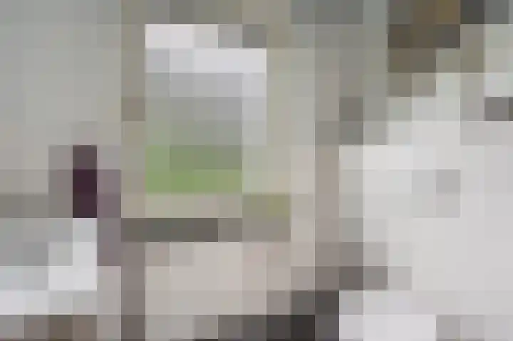 Compagnonsweg 33 Ravenswoud thumbnail 37