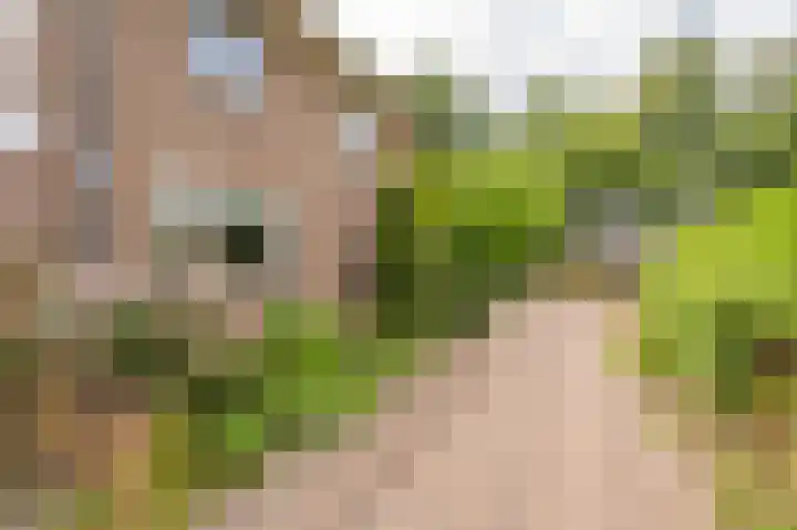 Compagnonsweg 33 Ravenswoud thumbnail 41