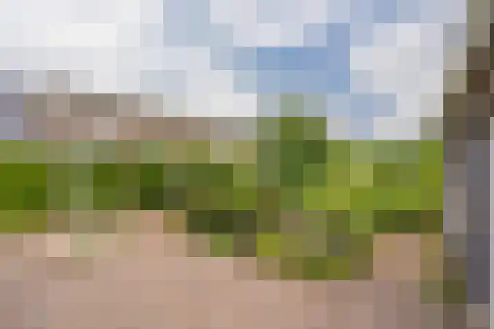 Compagnonsweg 33 Ravenswoud thumbnail 44