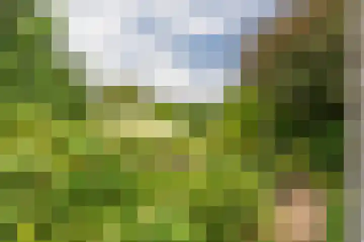 Compagnonsweg 33 Ravenswoud thumbnail 45