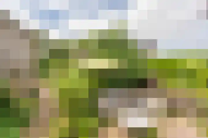 Compagnonsweg 33 Ravenswoud thumbnail 46