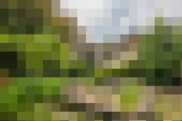 Compagnonsweg 33 Ravenswoud thumbnail 49