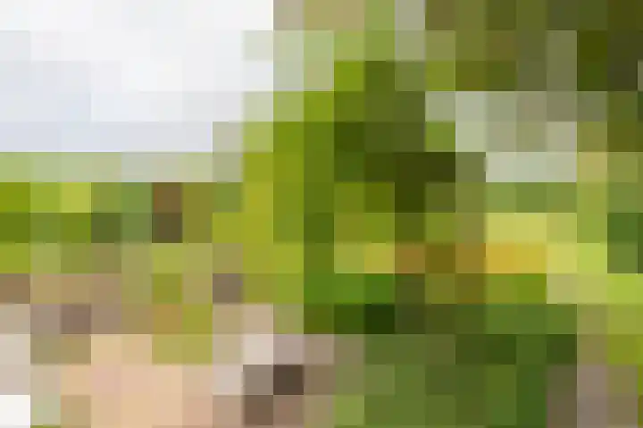 Compagnonsweg 33 Ravenswoud thumbnail 52