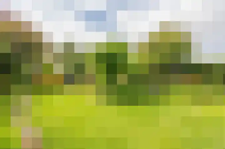 Compagnonsweg 33 Ravenswoud thumbnail 53