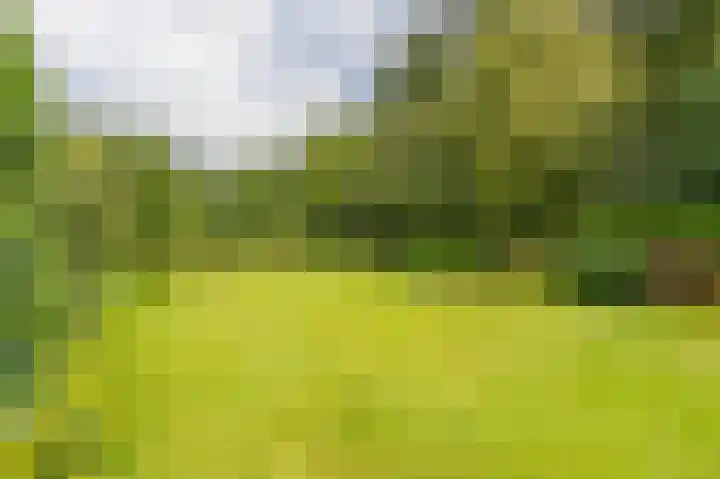 Compagnonsweg 33 Ravenswoud thumbnail 55