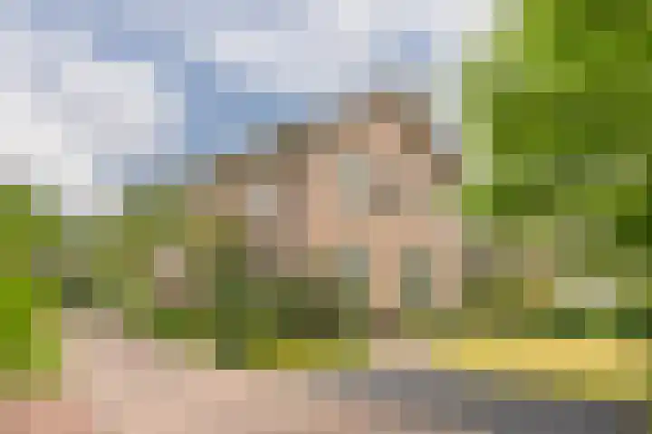 Compagnonsweg 33 Ravenswoud thumbnail 6