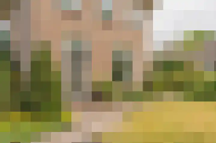 Compagnonsweg 33 Ravenswoud thumbnail 8