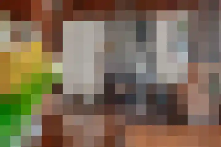 Compagnonsweg 40 Ravenswoud thumbnail 17