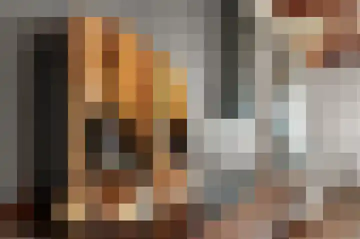 Compagnonsweg 40 Ravenswoud thumbnail 18