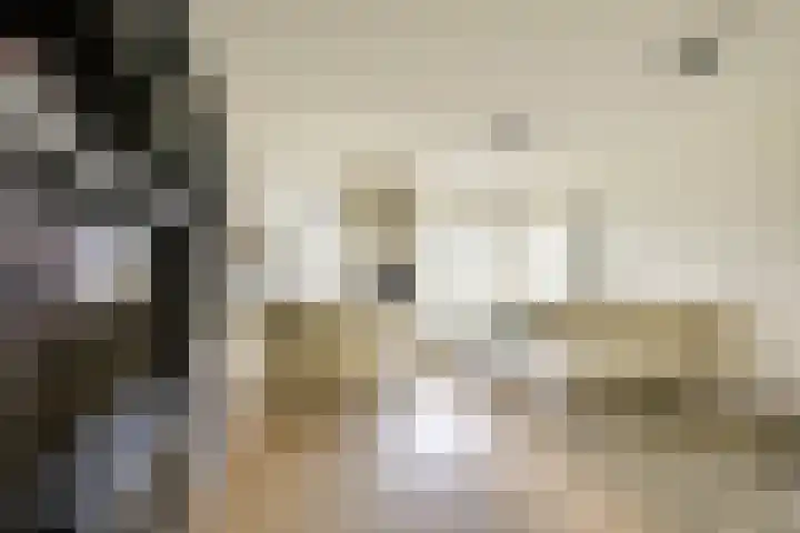 Compagnonsweg 40 Ravenswoud thumbnail 36
