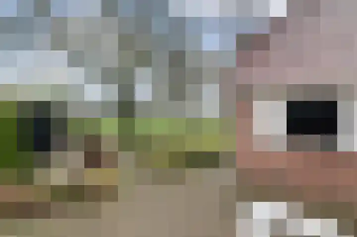 Compagnonsweg 40 Ravenswoud thumbnail 38