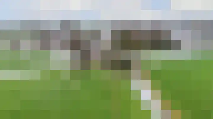 Compagnonsweg 40 Ravenswoud thumbnail 4