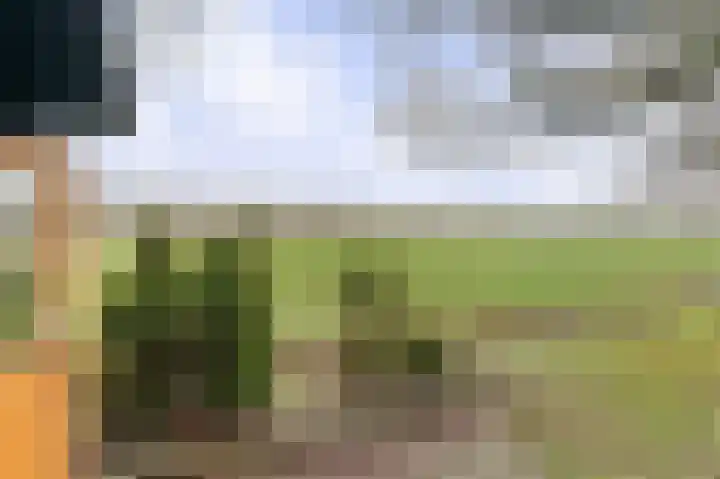 Compagnonsweg 40 Ravenswoud thumbnail 42