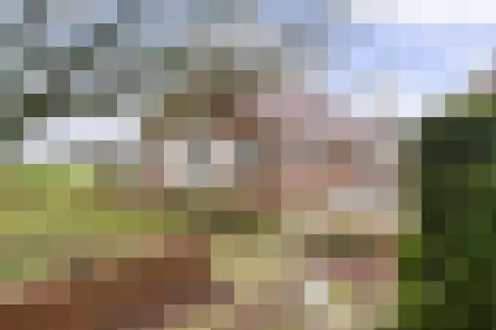 Compagnonsweg 40 Ravenswoud thumbnail 43