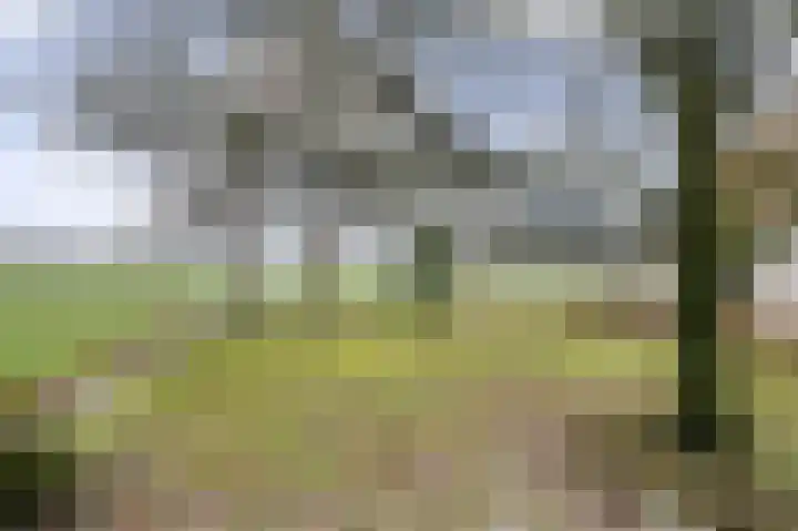 Compagnonsweg 40 Ravenswoud thumbnail 46